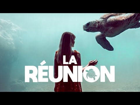 LA RÉUNION / LA CLINIQUE DES TORTUES MARINES 🐢