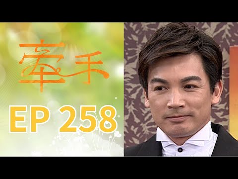 牽手 EP258 The Other Hands｜三立台劇