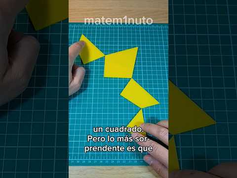DISECCIONES DE DUDENEY