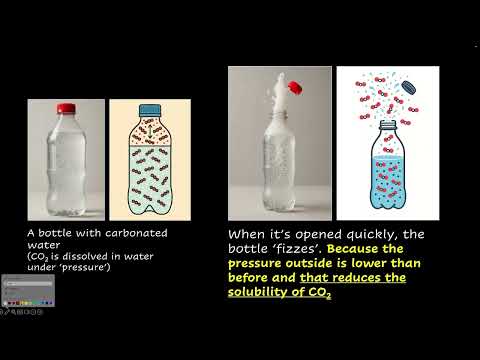 Dissolution of solids and gases in liquids | Equilibrium | NCERT Grade 11 | Chemistry | Khan Academy