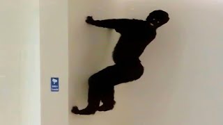 TRY NOT TO LAUGH Challenge!