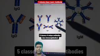 understanding antibody in 1 min. #pharmacology #biology #molecularbiology #medicalstudent #medical