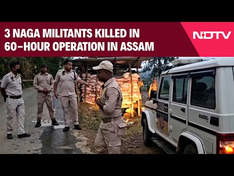 Assam News | Three Naga Militants Killed In 60-Hour Operation In Assam