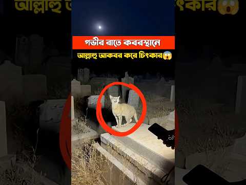 āĻā§āĻā§ āύāĻž āĻĻā§āĻāϞ⧠āĻŦāĻŋāĻļā§āĻŦāĻžāϏ āĻāϰāĻŦā§āύ āύāĻž #horror #catsays #shorts