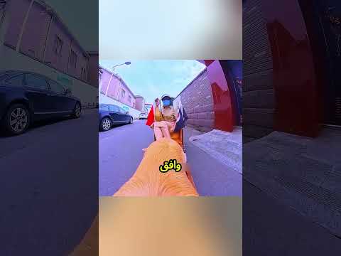هذا الكلب لم يكن يلعب فقط... عندما ظهرت الحقيقة صُدم الجميع! 😱🐶❤️#shorts