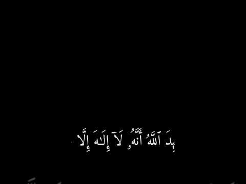 القارئ ماهر المعيقلي