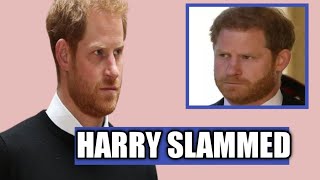 Prince Harry Slammed For Launching Planned Mild On Royal Family.