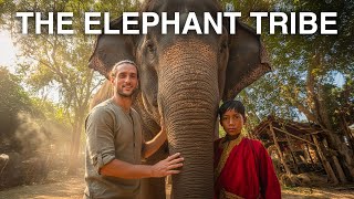 GLI UOMINI ELEFANTE: La storia incredibile della tribù che vive con gli elefanti in Thailandia 🇹🇭