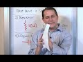 Functions and Components of Electrical Circuits