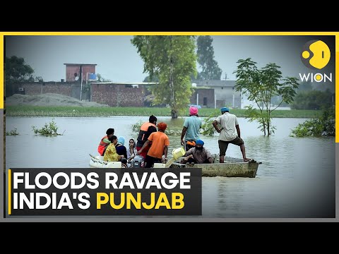Punjab Floods: 1400 Villages Submerged In Disaster-Hit State In Worst Deluge In Decades | WION