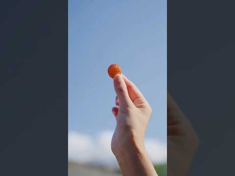 Natural Herbal Shampoo Soap | Traditional Craftsmanship Meets Modern Self-Care