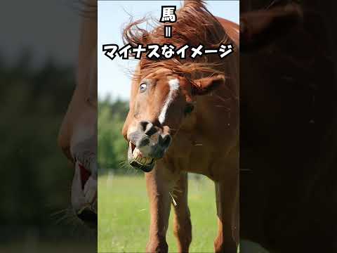 僕が子ども専門の乗馬クラブを作った理由。#動物 #馬