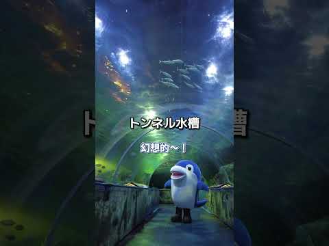 猫の動画サムネイル - しなフィンがご案内!館内編!＠しながわ水族館 #水族館