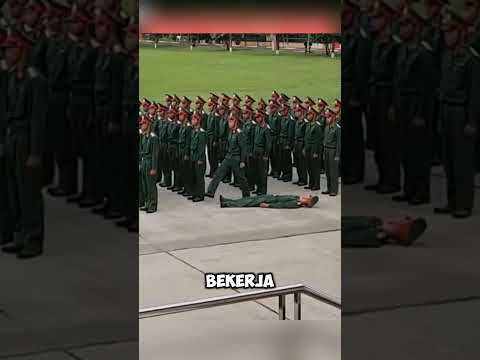 🎖️ Tentara Pingsan, Formasi Tetap Sempurna 💂‍♂️