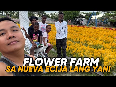 INSPIRED FLOWER FARM IN TAIWAN… SOBRANG GANDA!!SA NUEVA ECIJA LANG YAN!