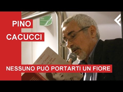 Pino Cacucci "Nessuno può portarti un fiore"