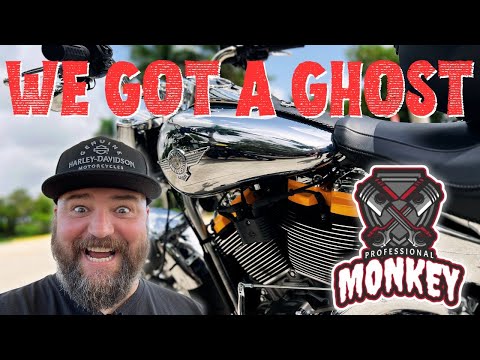 WE FOUND ONE! We Got A Harley Davidson Gray Ghost Fat Boy!