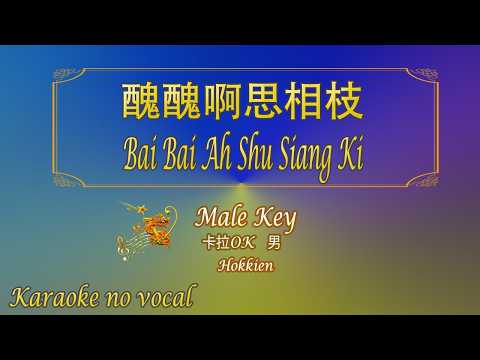 醜醜啊思相枝【卡拉OK (男)】|| Hokkien《KTV KARAOKE》 – Bai Bai Ah Shu Siang Ki (Male)