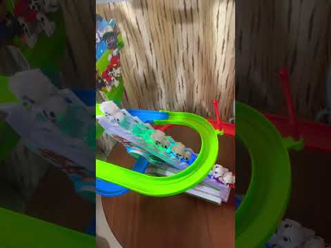 Fun paw patrol theme jumping🤭🐾 #trending #cute #pawpatrol #viralshorts