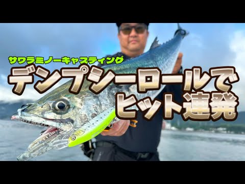 デンプシーロール炸裂！サワラ爆釣のヒットシーンを完全公開！