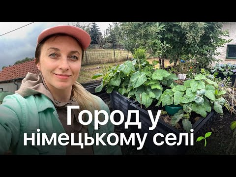Як Виглядає Німецький Город У Селі? 🌱 Що Німці Вирощують На Своєму Городі?