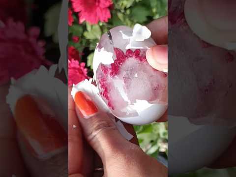ডিমের খোলা দিয়ে দারুণ একটা জিনিস বানালাম 😍 #shots #viral #hack #youtubeshorts #riyapaulvlogs