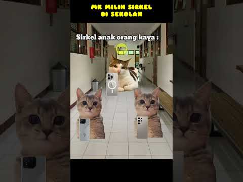 Walau sirkel isinya gajelas, tapi asik cuyy🗿 #meme #kucing #meow #youtubeshorts