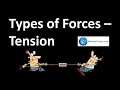 Exploring Types of Forces and Motion