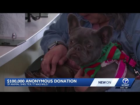YouTube video thumbnail: Santa Fe Animal Shelter Receives Anonymous $100,000 Donation