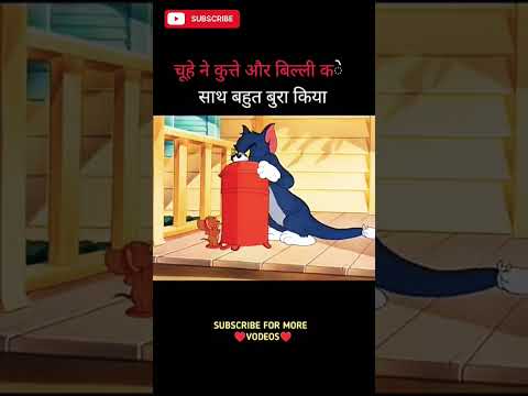 चौह नहीं कुत्ता और बिल्ली के साथ बहुत बुरा किया #videol #shortvideo #cortoon #shortsfeed #story 🐕