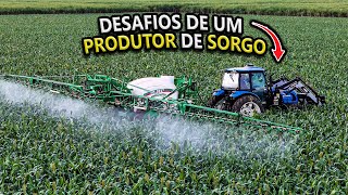 MAL SABIA NESSE VÍDEO QUE IRIA PERDER ESSA ÁREA 😢
