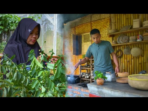 Nikmatnya hidangan sederhana masakan suami | Panen daun katuk | Hidup di Desa