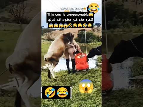 @saifcomedy738#كوميديا #ضحك #ترند #comedy #shorts #trending #laughter #funny #trendingshorts