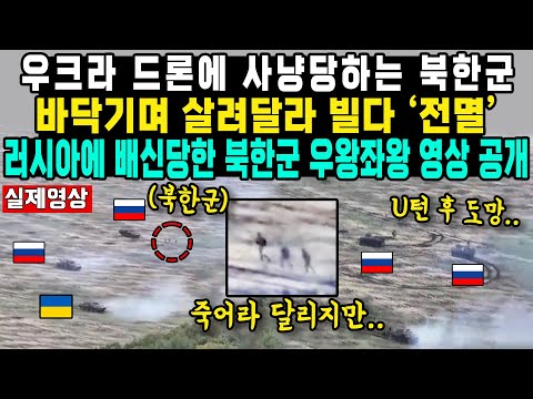 우크라 드론에 사냥당하는 북한군바닥기며 살려달라 빌다 ‘전멸’러시아에 배신당한 북한군 우왕좌왕 영상 공개