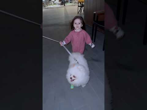 Mişa ile gece  gezmeler 🥰#köpek # Bebek  #doğa #fyp #keşfet #automobile