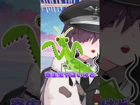 thumbnail_RIzFkWAS2Ak