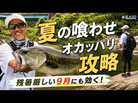 【RAID JAPAN】夏の喰わせ・残暑厳しい9月にも効く！オカッパリ攻略