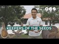 Seed Germination and Conservation Concepts