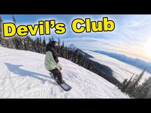 Black Diamond Devil's Club In Revelstoke, Canada