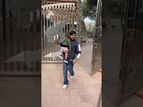 navaz dekh kar bimari batai || #minivlogs #youtubeshorts #animalshorts