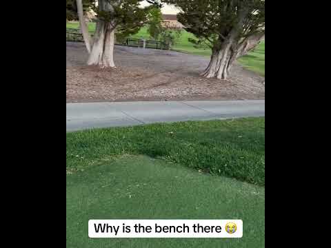 Doesn't seem smart 😂 (via @Golfinsmurf/IG)