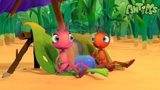 ¡Vamos a la playa! | Caricaturas | Antiks | Videos Graciosos Para Niños | Oddbods