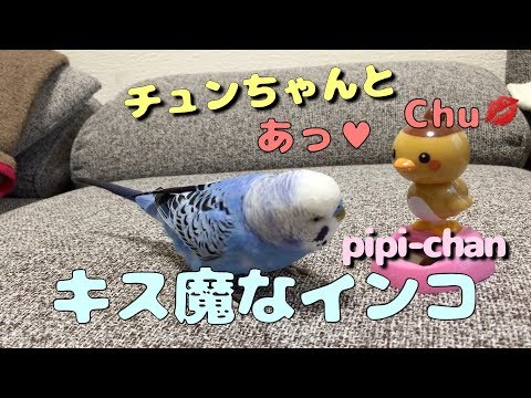 Pipi Channelの最新動画 Youtubeランキング