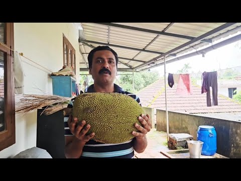 திறமை இருந்தால் எங்க வேணாலும் பிழைக்கலாம்...❤️❤️@AadukaaliKudumbam #couplegoal #comedy #funny