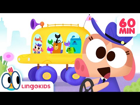 The WHEELS ON THE BUS 🚌🎶 60 minutes ON REPEAT 🔄| Lingokids Songs