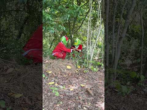 GRINCH TEM UMA NAMORADA