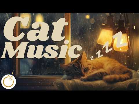 Happy Cat Music - 7 Hours of Expert Made Lullabies for Feline Therapy ❤️