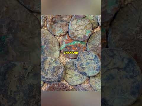 Необъяснимые находки в угольных пластах