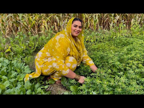 Meri Mazay Mazay Ki Batain Or Simba Ki Shrartain | Aliza Sehar's Beautiful Mud House