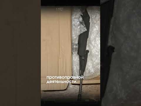 Хроники снайпера-самоучки: полиция раскрыла загадочное дело